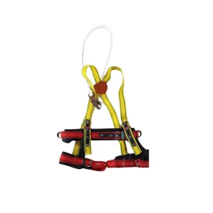 ARNES NACIONAL CON LINEA DE VIDA